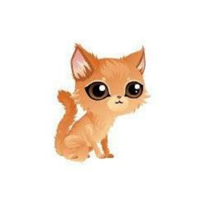 Meet your Posher, Layla and emily